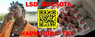 гидра Краснодар