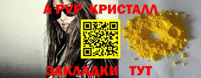 СК Вышний Волочёк